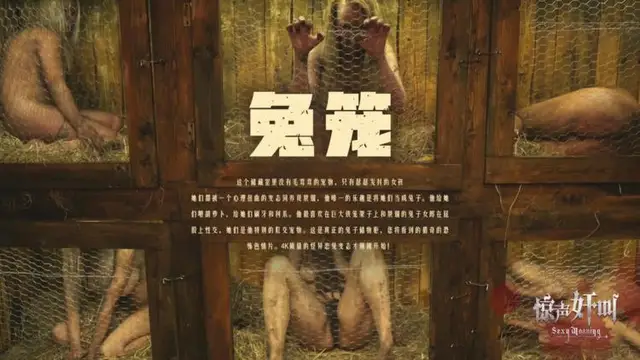 兔籠-精品力薦