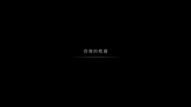 雙生花の傷情的慰籍-精品力薦
