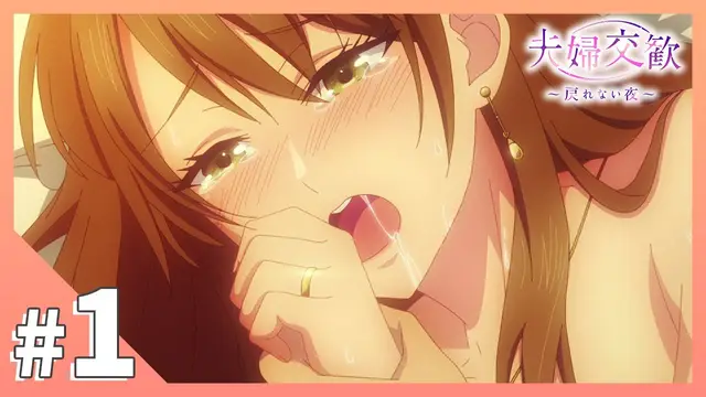 夫婦交歓～戻れない夜～_1_第一集