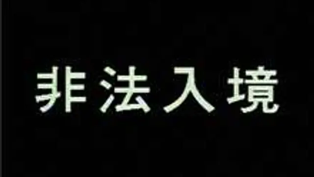 非法入境